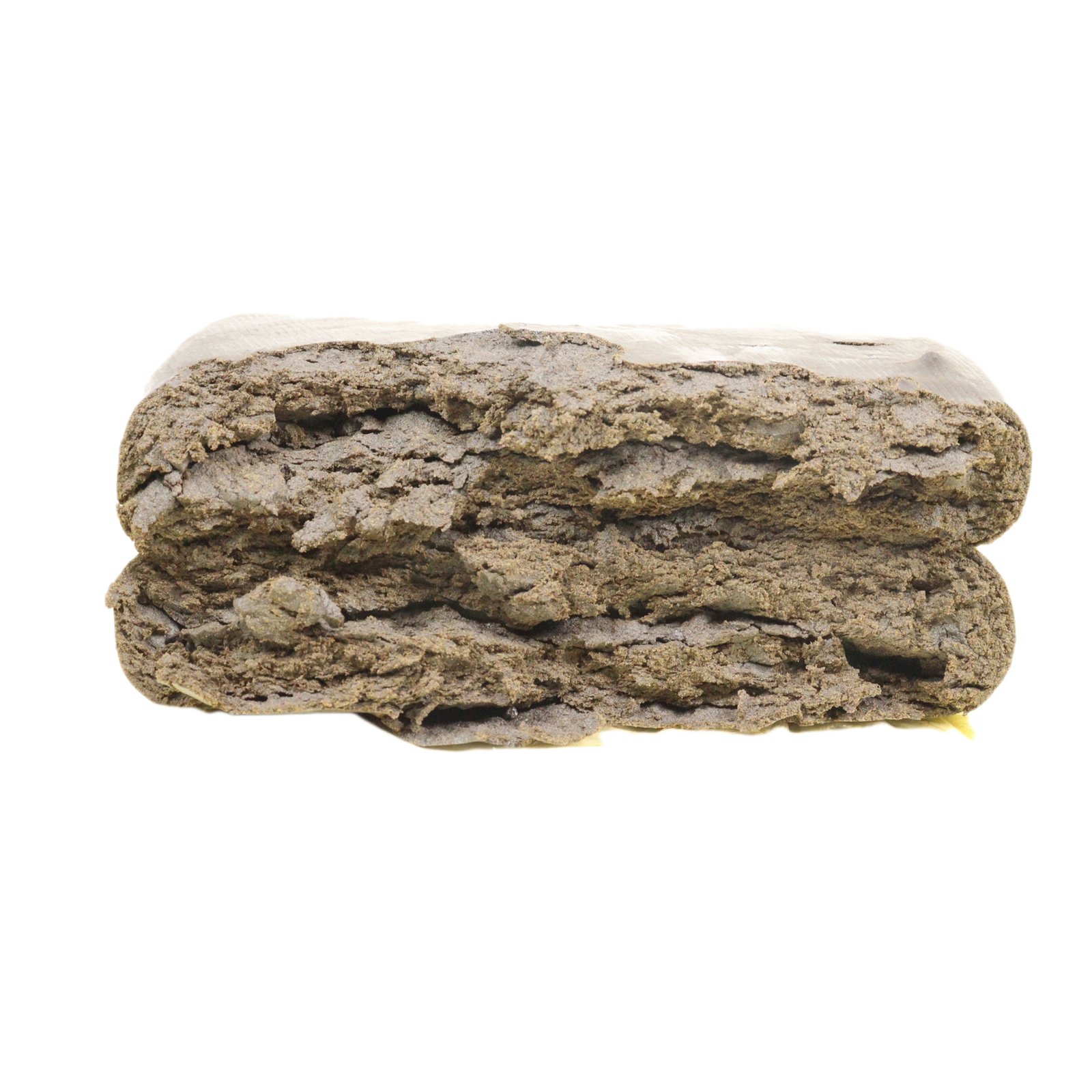 Schwarzes afghanisches Löwenhasch