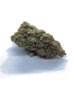 Todesgas-Zertrümmerung