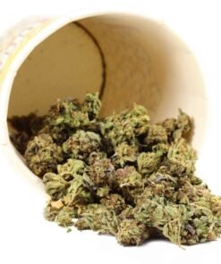 39 $/oz *PROMO* Gemischte Sorte (POPCORN