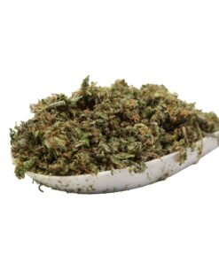 Schütteln/Trimmen (Pink Kush)