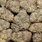 Purple Dank Breath AAAA+ Indica Craft By Dank Vader