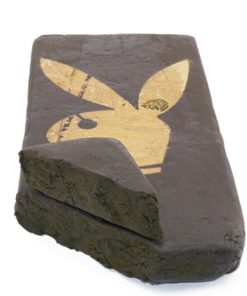 Playboy Hash