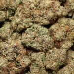 Supreme Death Bubba AAAA+ Indica Craft von Prise Points