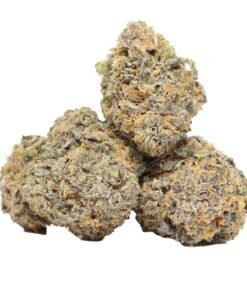 Tropicana Düsentreibstoff