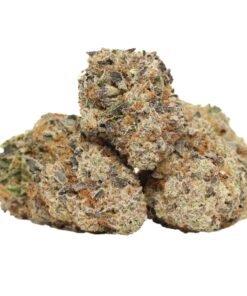 Die Hochzeits-Crasher